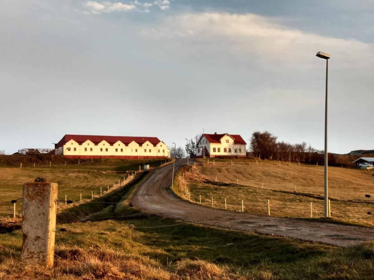 Helluland Guesthouse Saudarkrokur ภายนอก รูปภาพ