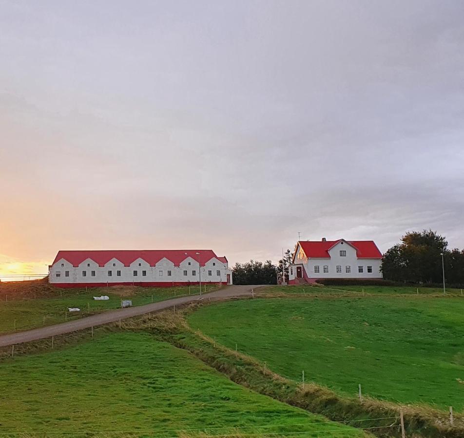 Helluland Guesthouse Saudarkrokur ภายนอก รูปภาพ