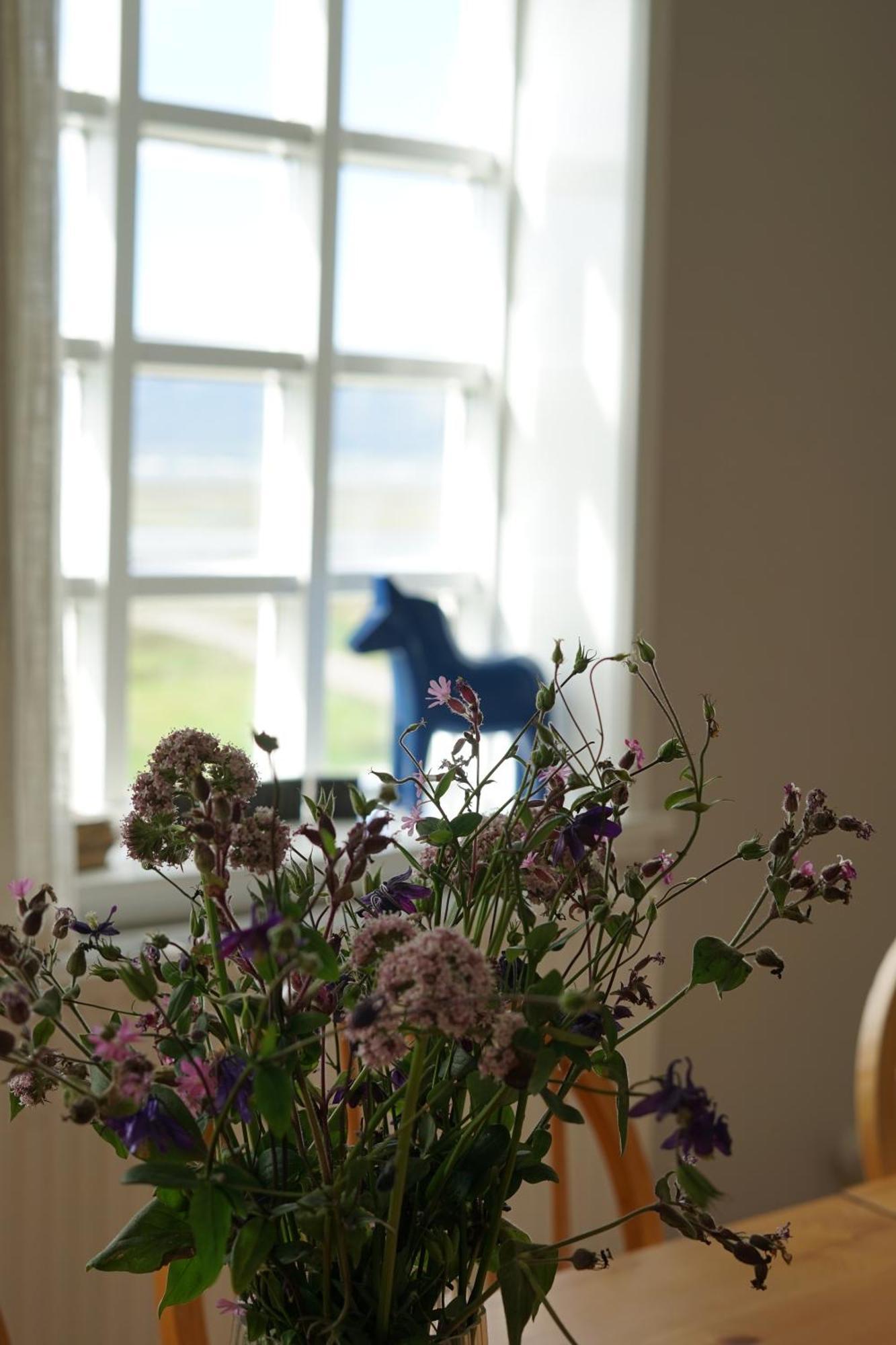 Helluland Guesthouse Saudarkrokur ภายนอก รูปภาพ
