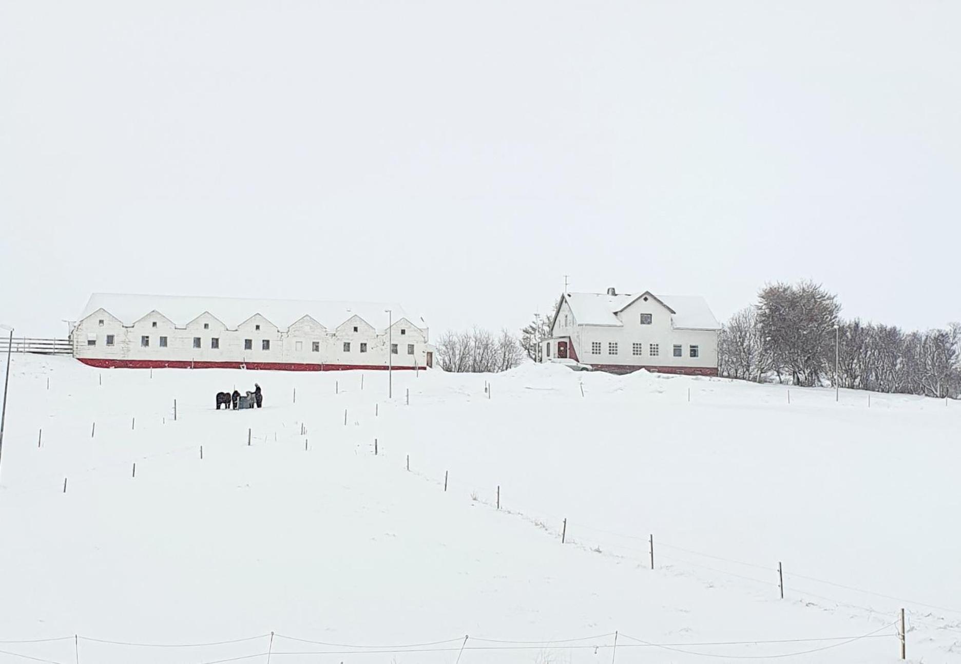 Helluland Guesthouse Saudarkrokur ภายนอก รูปภาพ